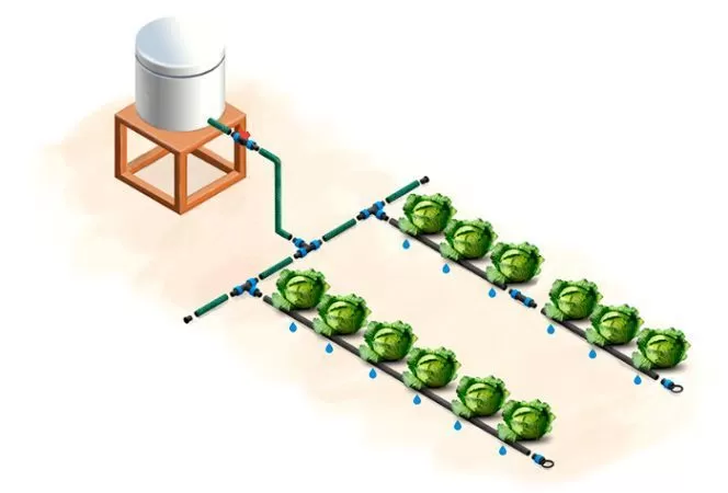 Как сделать капельный полив своими руками Как сделать капельный полив своими руками