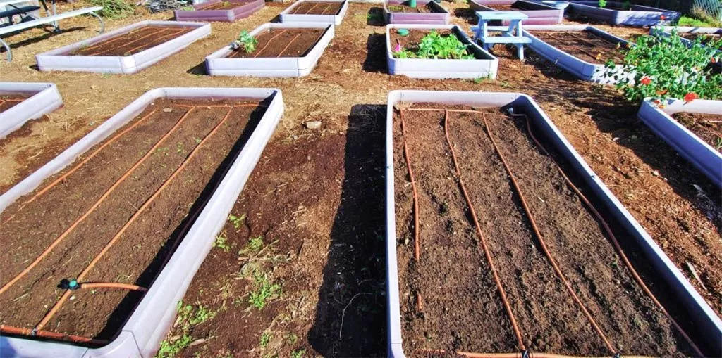 bd10e26b7dcb3d777a9e25e695c9f749.jpg bd10e26b7dcb3d777a9e25e695c9f749.jpg