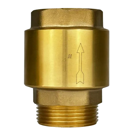 Обратный клапан MAXPUMP 1" НР - ВН