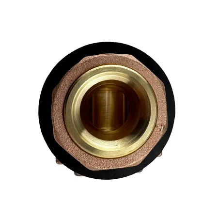 Адаптер скважинный MAXPUMP 1" Адаптер скважинный MAXPUMP 1"
