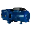 Поверхностный насос MAXPUMP JSW 900 Поверхностный насос MAXPUMP JSW 900