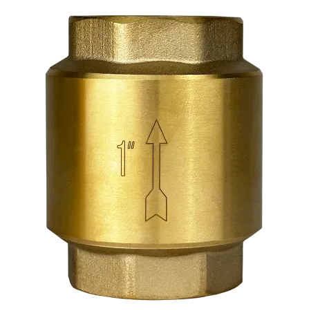 Обратный клапан MAXPUMP 1"