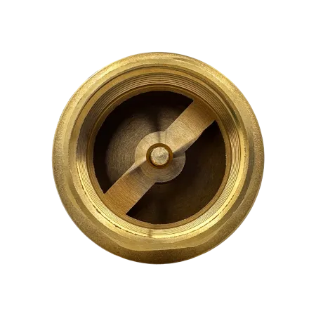 Обратный клапан MAXPUMP 1½"